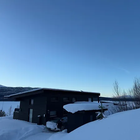 Luxury Arctic