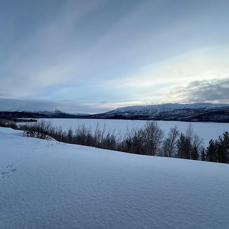 Luxury Arctic * Overbygd