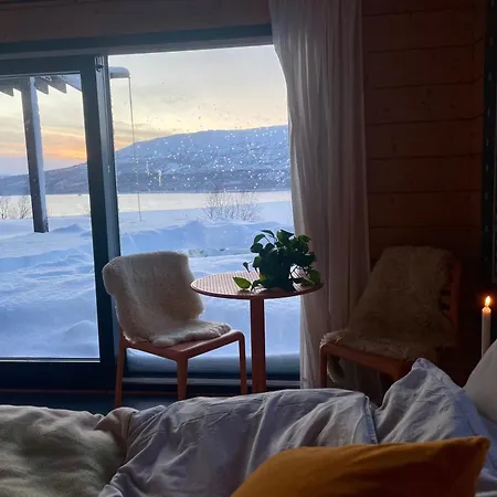 Luxury Arctic